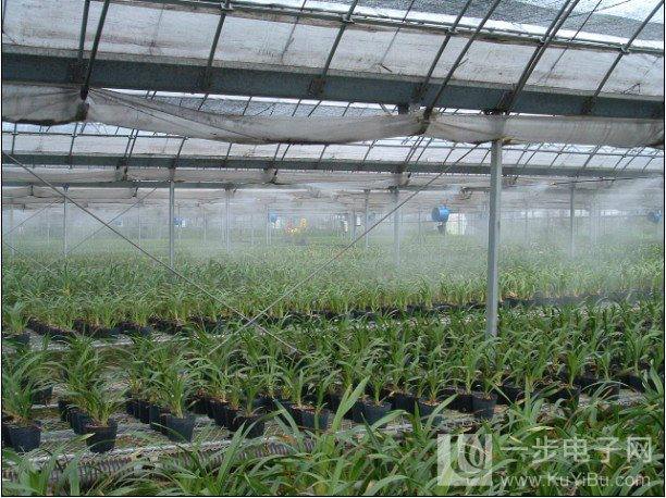 山东大棚种植喷雾加湿设备-供应山东大棚种植