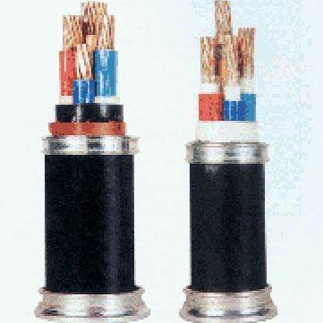 供应WDZB BYJ 4*2电缆线出厂价小猫电缆