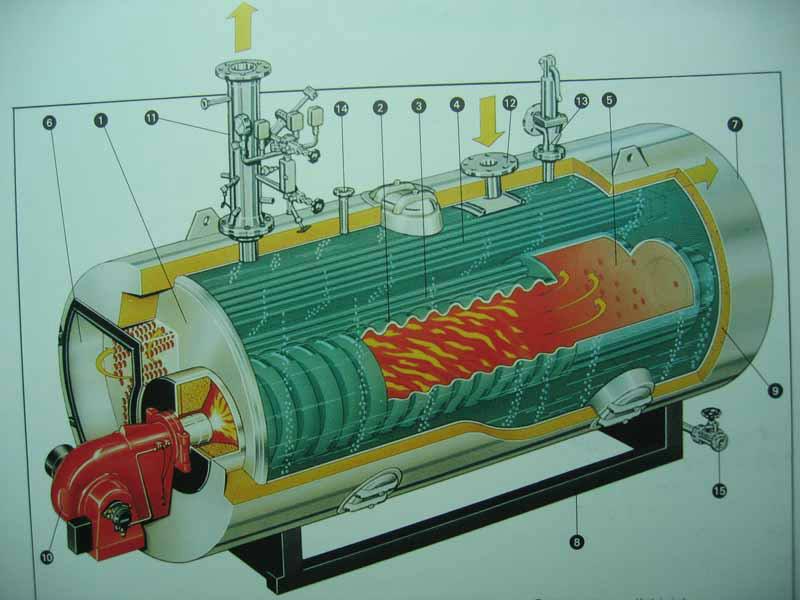 蒸汽锅炉解剖图图片