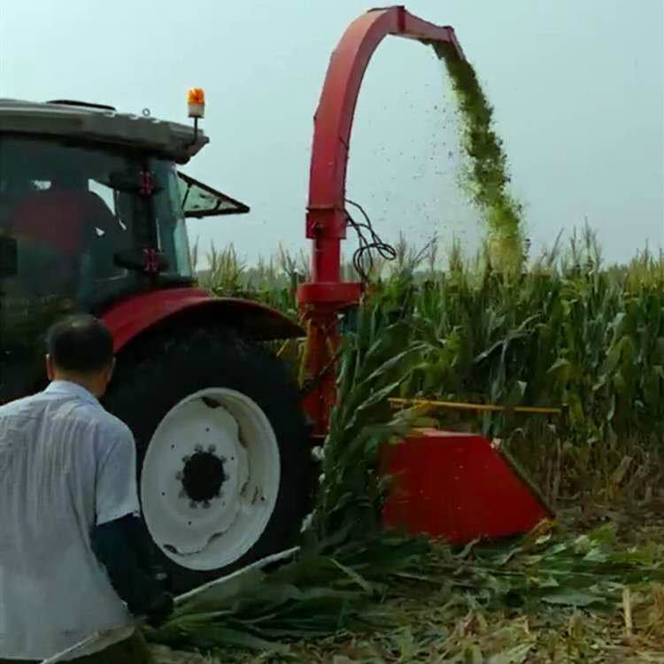 厂家供应农牧机械玉米秸秆收割机 双转盘割台青储机