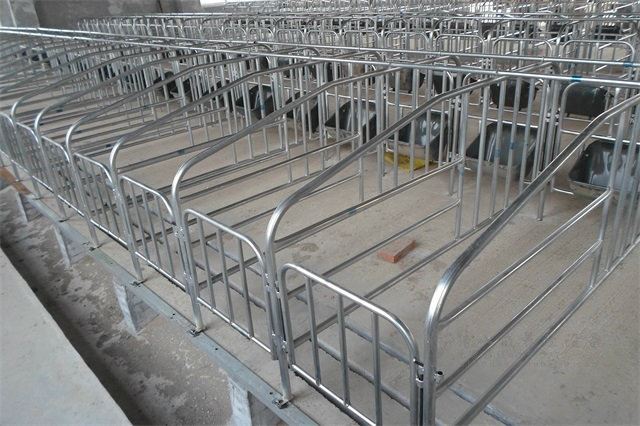 养猪场专用围栏母猪定位栏限位栏厂家直销