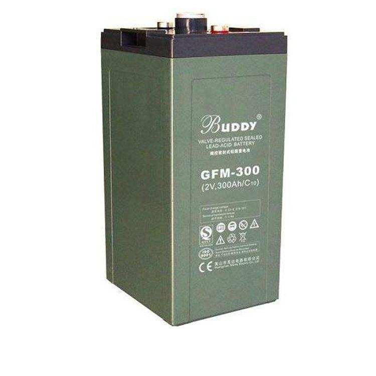 宝迪buddy蓄电池gfm-1000/2v1000ah型号