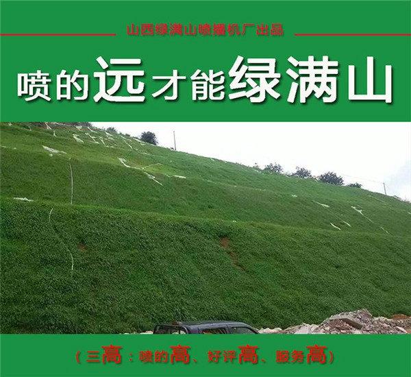 山西临汾公路两旁铺设三维网边坡绿化植草喷播机复绿效果