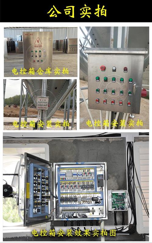 豬場自動喂料線自動化供料系統不鏽鋼電控箱養豬料線控制系統